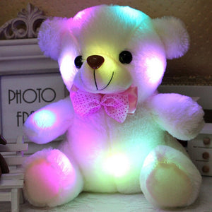 Light up Stuffed Teddy Bear - Peter Orourke