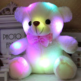 Light up Stuffed Teddy Bear - Peter Orourke