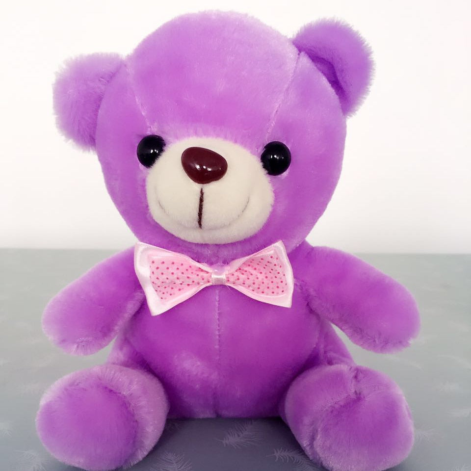 Light up Stuffed Teddy Bear - Peter Orourke