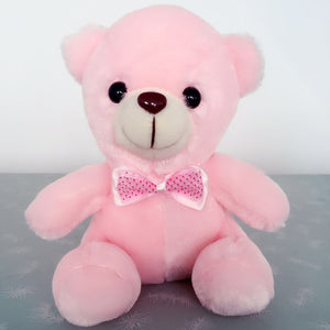 Light up Stuffed Teddy Bear - Peter Orourke