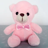 Light up Stuffed Teddy Bear - Peter Orourke