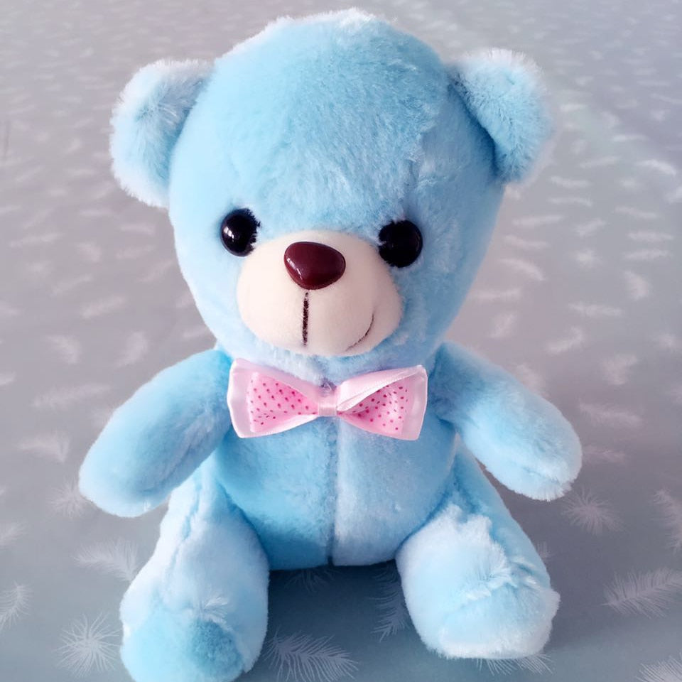 Light up Stuffed Teddy Bear - Peter Orourke