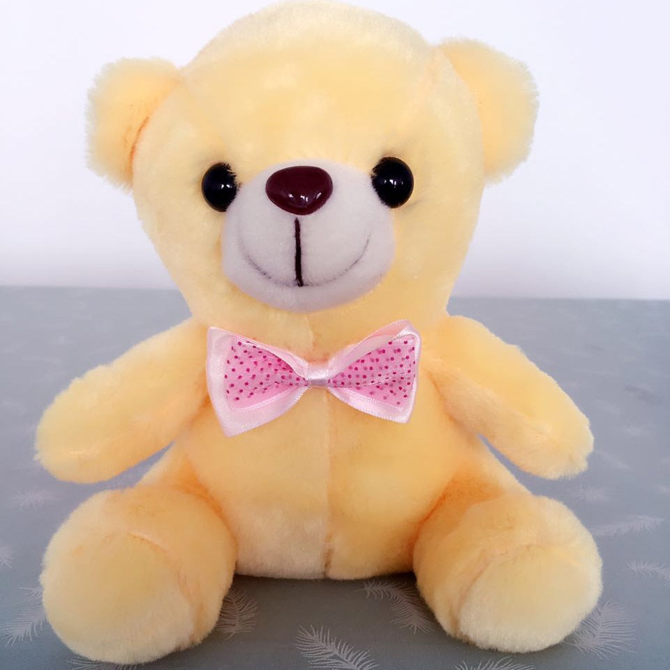 Light up Stuffed Teddy Bear - Peter Orourke