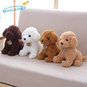Teddy Dog - Peter Orourke
