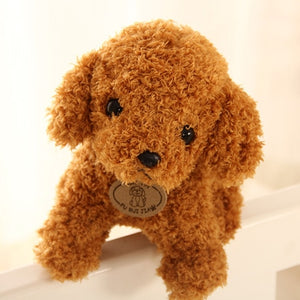 Teddy Dog - Peter Orourke