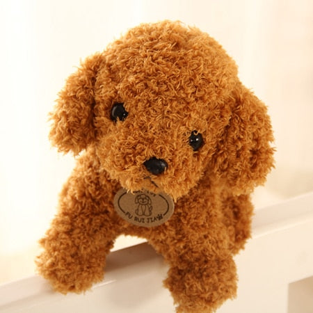 Teddy Dog - Peter Orourke