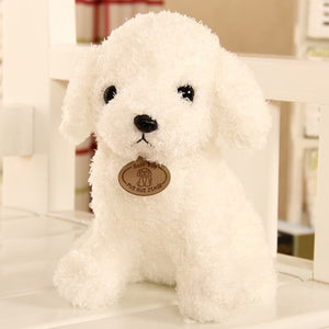 Teddy Dog - Peter Orourke
