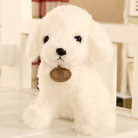 Teddy Dog - Peter Orourke