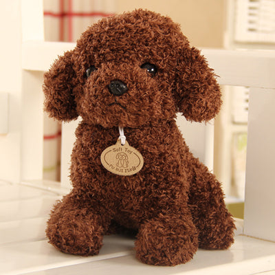 Teddy Dog - Peter Orourke
