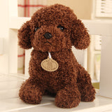 Teddy Dog - Peter Orourke