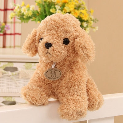 Teddy Dog - Peter Orourke
