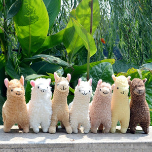 Lovely 23cm White Alpaca Llama Plush Toy - Peter Orourke