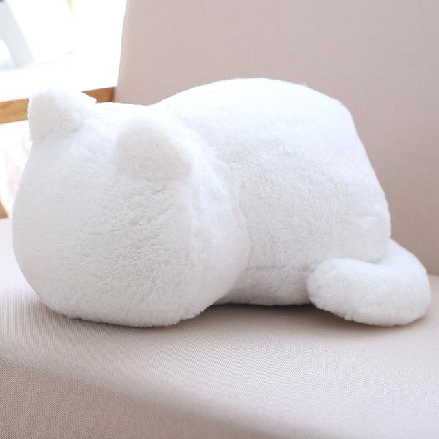 Kawaii Plush Cat Toys - Peter Orourke