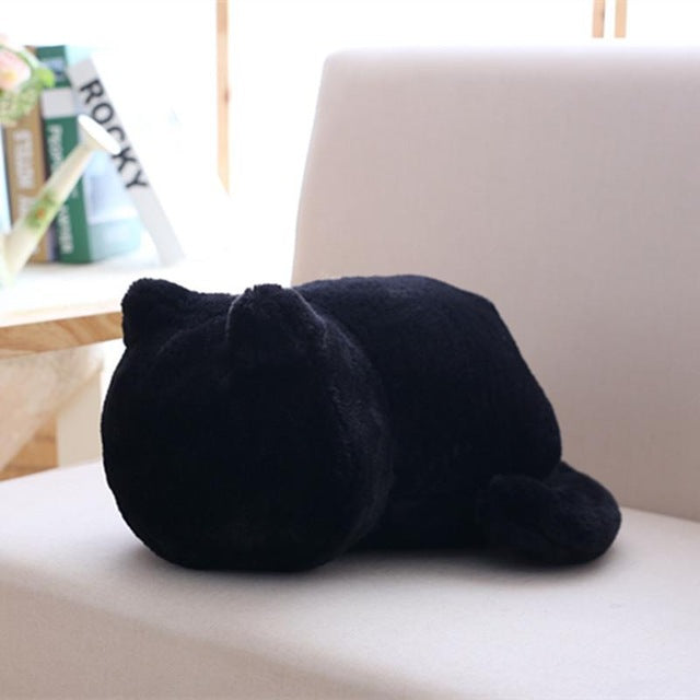 Kawaii Plush Cat Toys - Peter Orourke