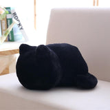 Kawaii Plush Cat Toys - Peter Orourke