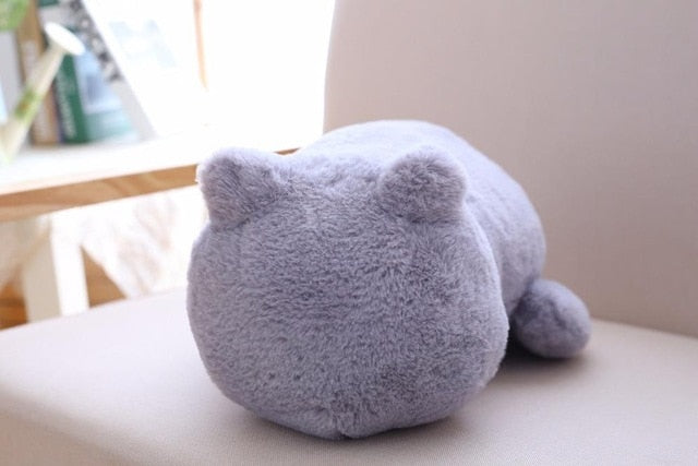 Kawaii Plush Cat Toys - Peter Orourke