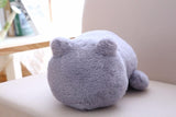 Kawaii Plush Cat Toys - Peter Orourke