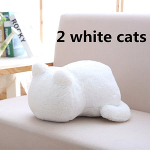 Kawaii Plush Cat Toys - Peter Orourke