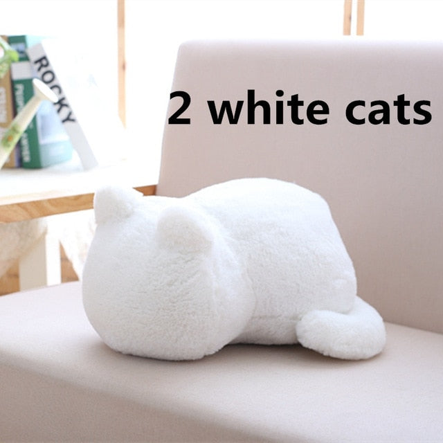 Kawaii Plush Cat Toys - Peter Orourke