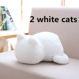 Kawaii Plush Cat Toys - Peter Orourke
