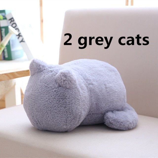 Kawaii Plush Cat Toys - Peter Orourke