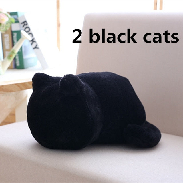 Kawaii Plush Cat Toys - Peter Orourke