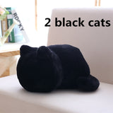Kawaii Plush Cat Toys - Peter Orourke